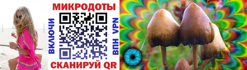 это состав  закладки  Торжок  Псилоцибиновые грибы прущие грибы 
